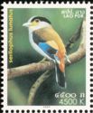 Silver-breasted Broadbill (Serilophus lunatus)